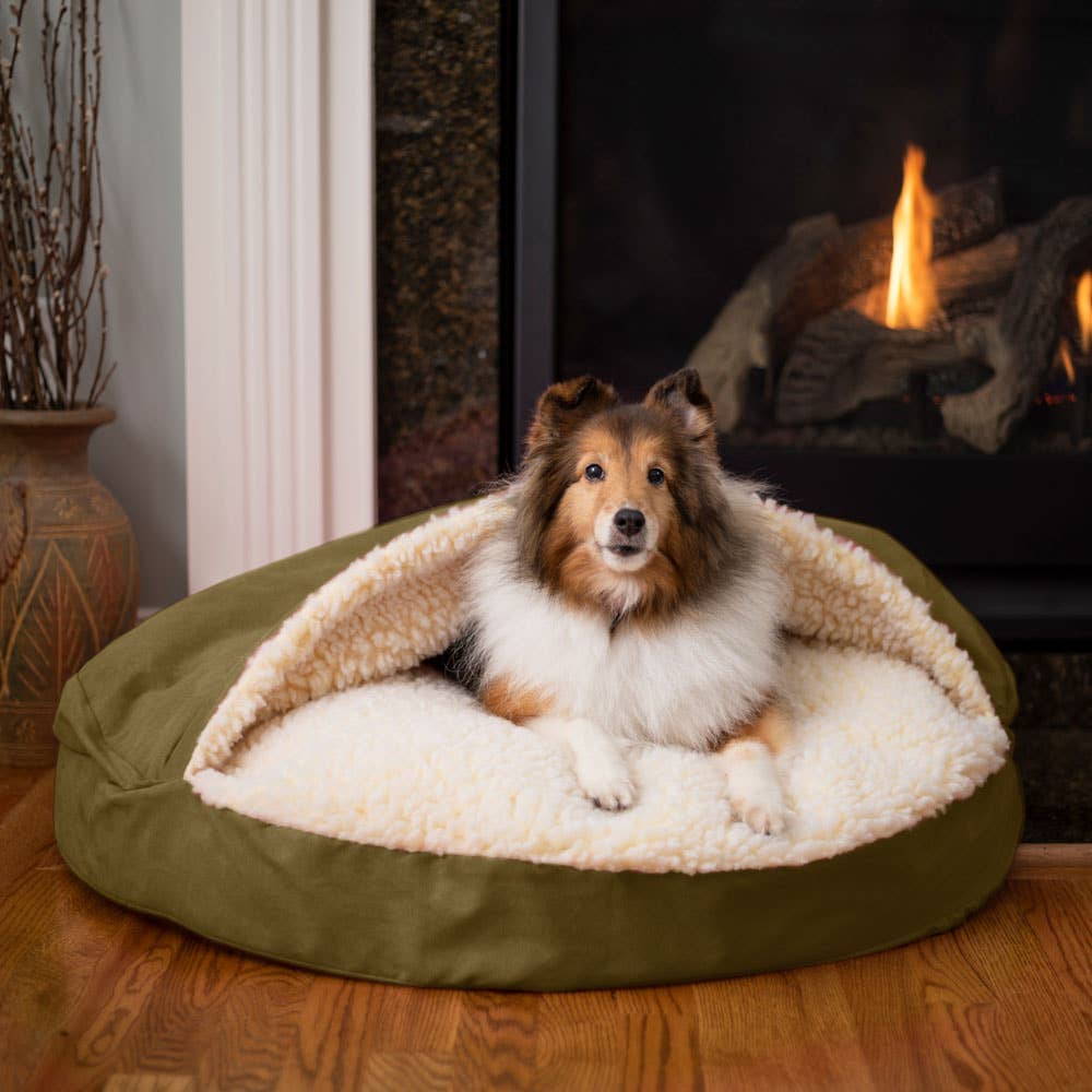 Orthopedic Cozy Cave Dog Bed