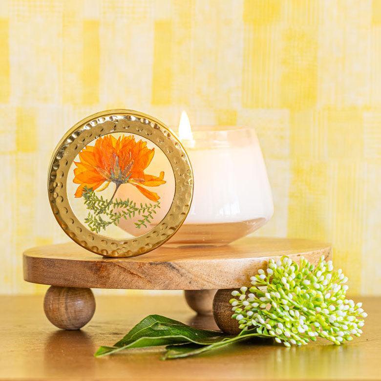 Sugared Citrus Petite Pressed Floral Candle