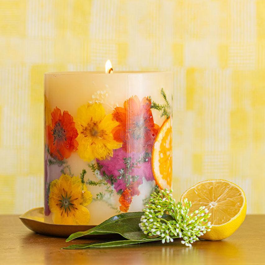 Sugared Citrus Accent Botanical Candle