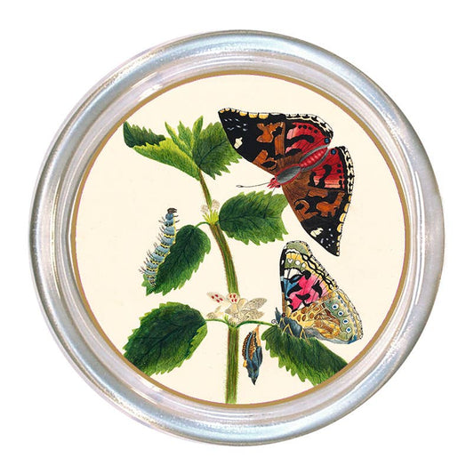 C9224-Butterfly Bloom Glass Coaster