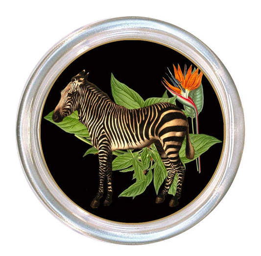 Zebra on Black African Obsession Coaster