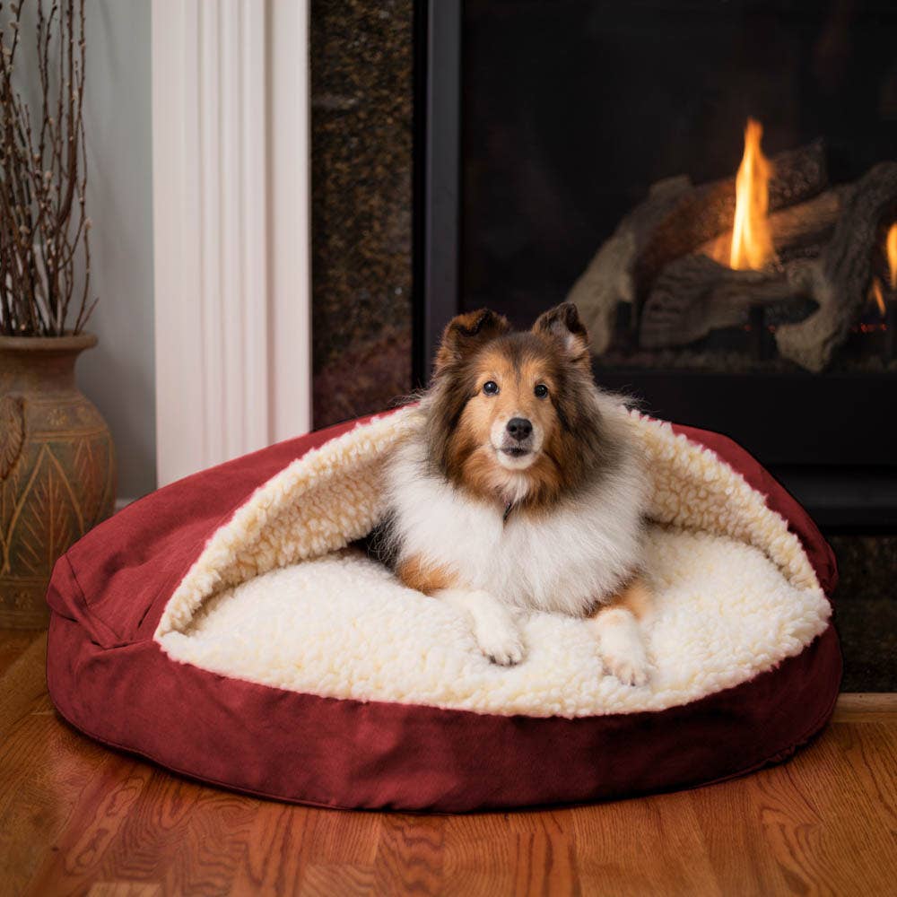 Cozy cave dog bed sale best sale