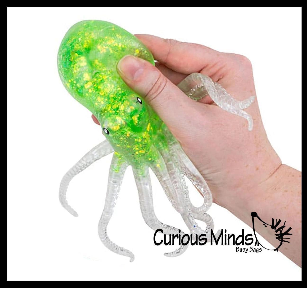 Sugar Squeeze Octopus