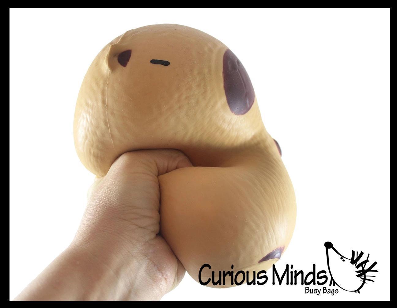 Jumbo Squish Capybara