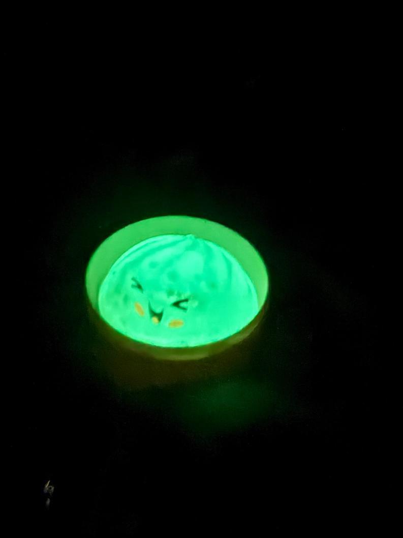 The Viral MINI Glow in The Dark Dumpling