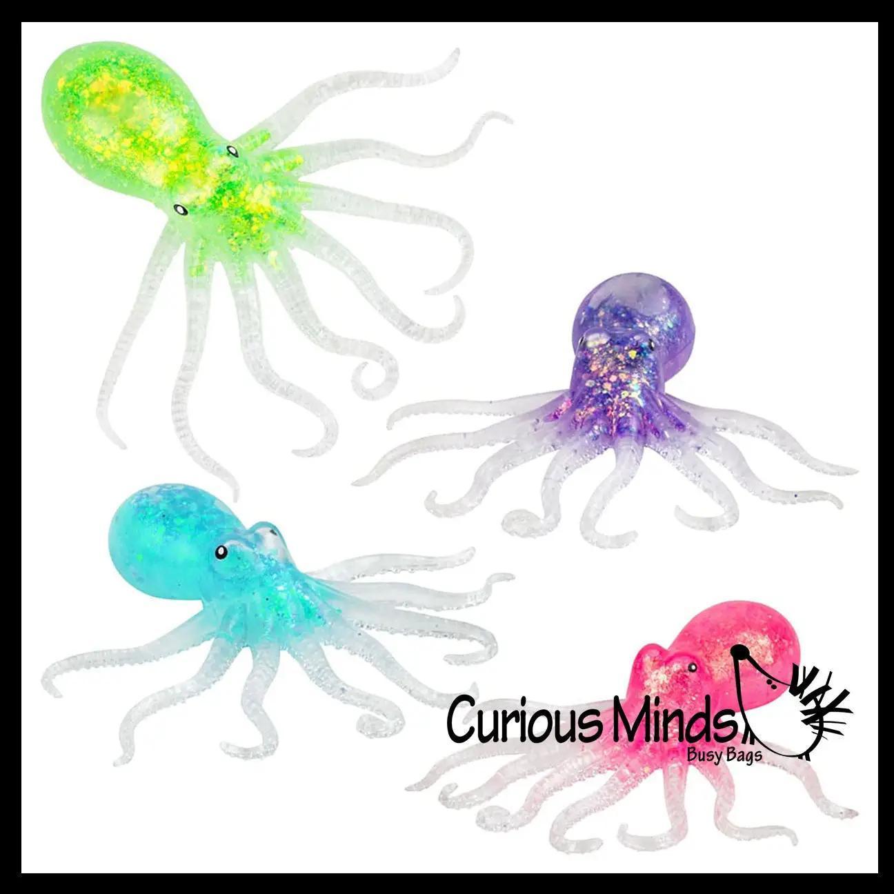 Sugar Squeeze Octopus