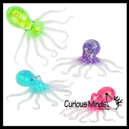 Sugar Squeeze Octopus
