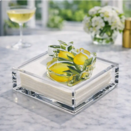 Acrylic Napkin Weight
