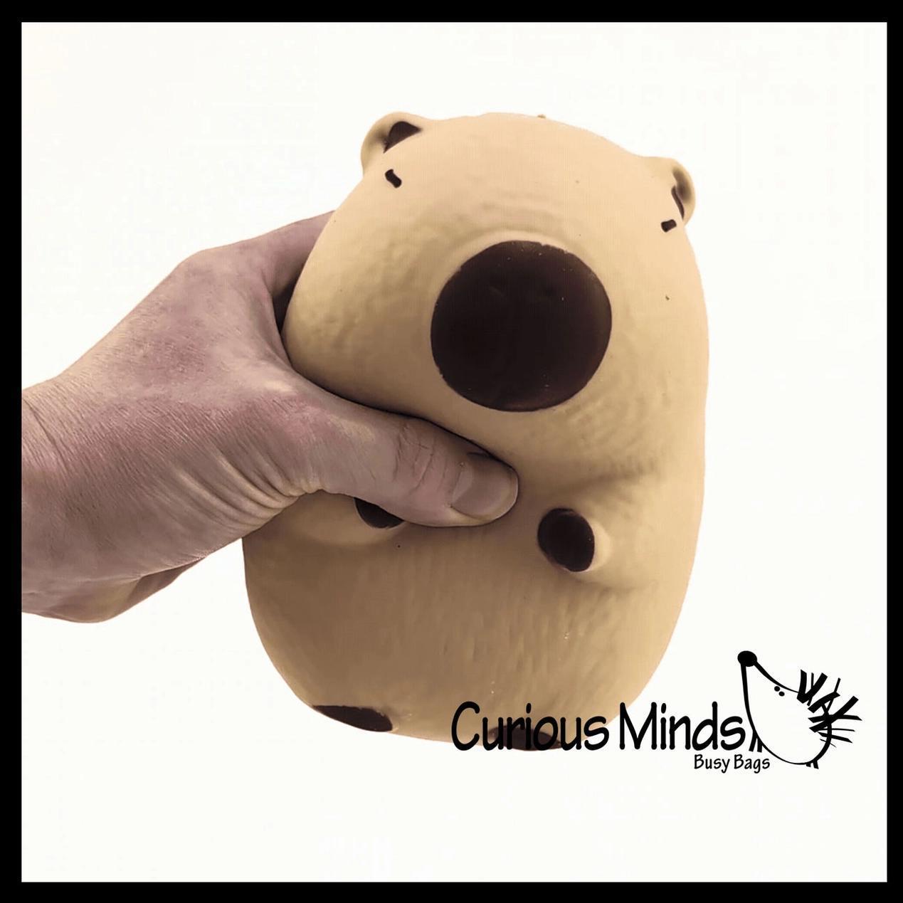 Jumbo Squish Capybara