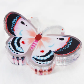 Acrylic Napkin Weight