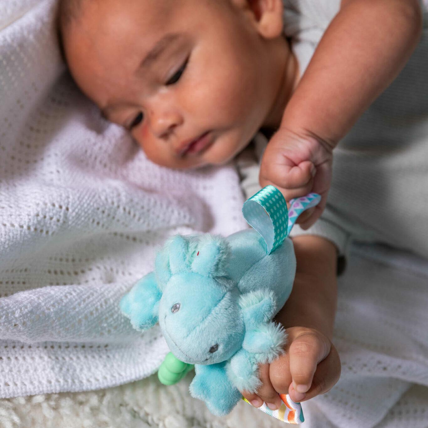 Taggies Teether Rattle