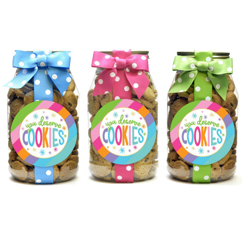 Cookies - Bright Stripe - Quart Jars